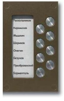 Кнопочная панель VIZIT BS-8 на 8 абонентов