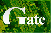 Gate-P-Server (комплект) ПО для системы Gate с поддержкой контроллеров парковки Gate-P-4000-РК