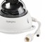 NBLC-2230F Nobelic Купольная антивандальная IP видеокамера, обьектив 2.8мм, 2Mp, Ик, PoE