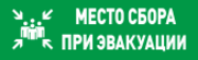 С2000 ОСТ исп.14 МЕСТО СБОРА Болид Оповещатель световой адресный