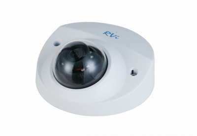 RVi-1NCF2366 (2.8) white Купольная уличная IP видеокамера, 2Мп, Ик, Poe, MicroSD, встроенный микрофон