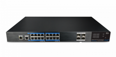 RVi-2NSM16G-4S Коммутатор на 20 портов