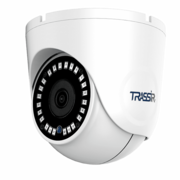 TR-D8121IR2 v6 (3.6 мм) TRASSIR Купольная уличная IP-камера, объектив 3.6 мм, Ик, 2Мп, Poe, встроенный микрофон, MicroSD
